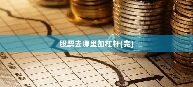 股票去哪里加杠杆(完)