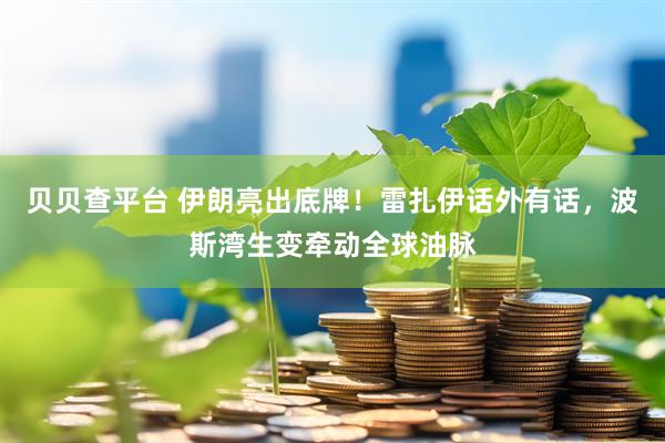 贝贝查平台 伊朗亮出底牌！雷扎伊话外有话，波斯湾生变牵动全球油脉